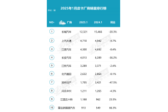 2025年1月皮卡市場數據分析 銷量排行榜